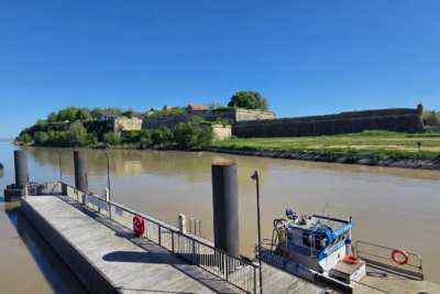 Agrandir l'image 11 sur 11, fenêtre modale