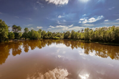 Agrandir l'image 10 sur 15, fenêtre modale