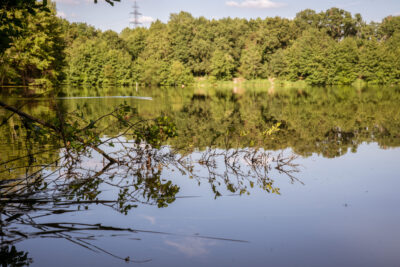 Agrandir l'image 5 sur 15, fenêtre modale