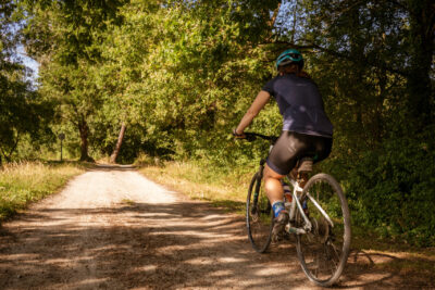 Agrandir l'image 12 sur 15, fenêtre modale