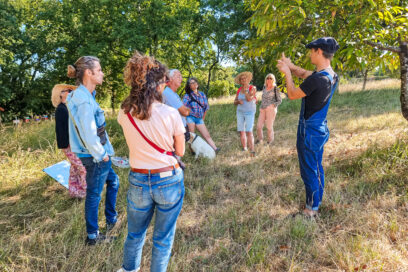 Agrandir l'image, fenêtre modale