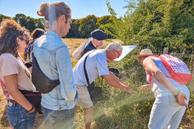 Agrandir l'image 11 sur 18, fenêtre modale