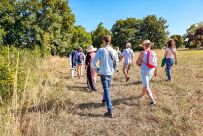 Agrandir l'image 10 sur 18, fenêtre modale