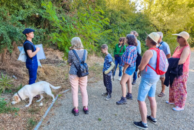 Agrandir l'image 8 sur 18, fenêtre modale