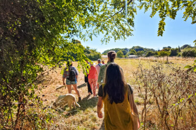 Agrandir l'image 7 sur 18, fenêtre modale