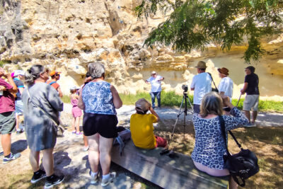 Agrandir l'image 9 sur 18, fenêtre modale